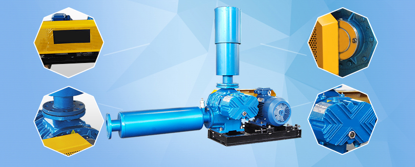 WT series water treatment Roots fan